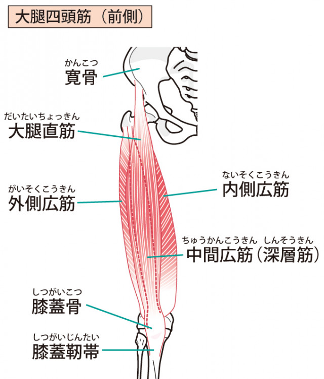 当院のオスグッドでのアプローチは?