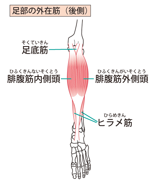 アキレス腱炎とは?