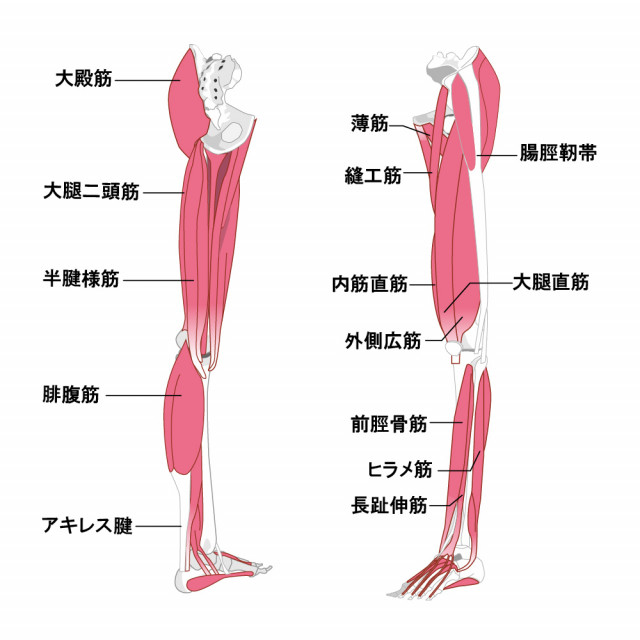 産後の膝痛 新潟の整体 医師も推薦 新潟名倉堂鍼灸整骨院 産後の膝痛 新潟の整体 医師も推薦 新潟名倉堂鍼灸整骨院