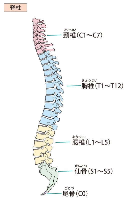 当院の不眠症に対してのアプローチ