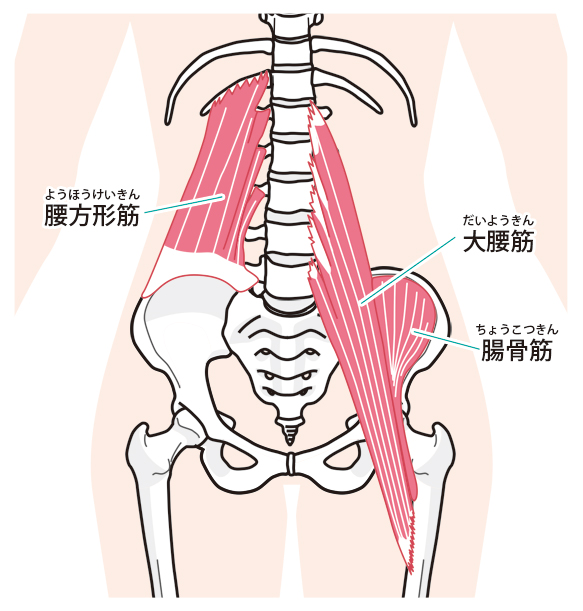 ぎっくり腰 新潟の整体 医師も推薦 新潟名倉堂鍼灸整骨院 ぎっくり腰 新潟の整体 医師も推薦 新潟名倉堂鍼灸整骨院