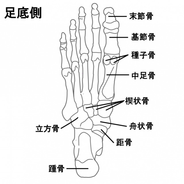 モートン病とは?