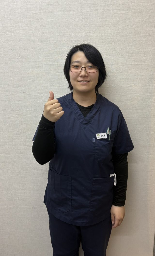 酒井 千恵（さかい ちえ）